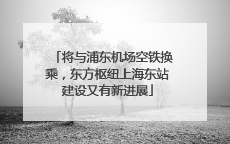 将与浦东机场空铁换乘，东方枢纽上海东站建设又有新进展